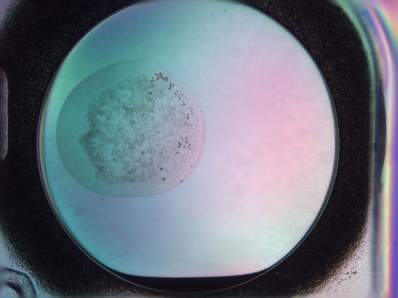041x_H10_ImagerDefaults_6.jpg