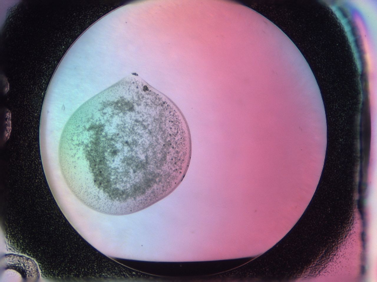 041x_G12_ImagerDefaults_6.jpg