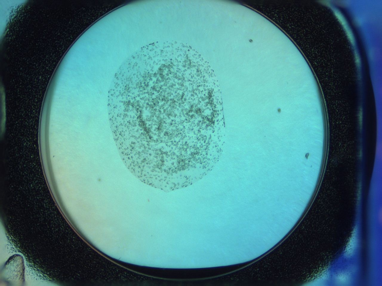 0423_D11_ImagerDefaults_6.jpg