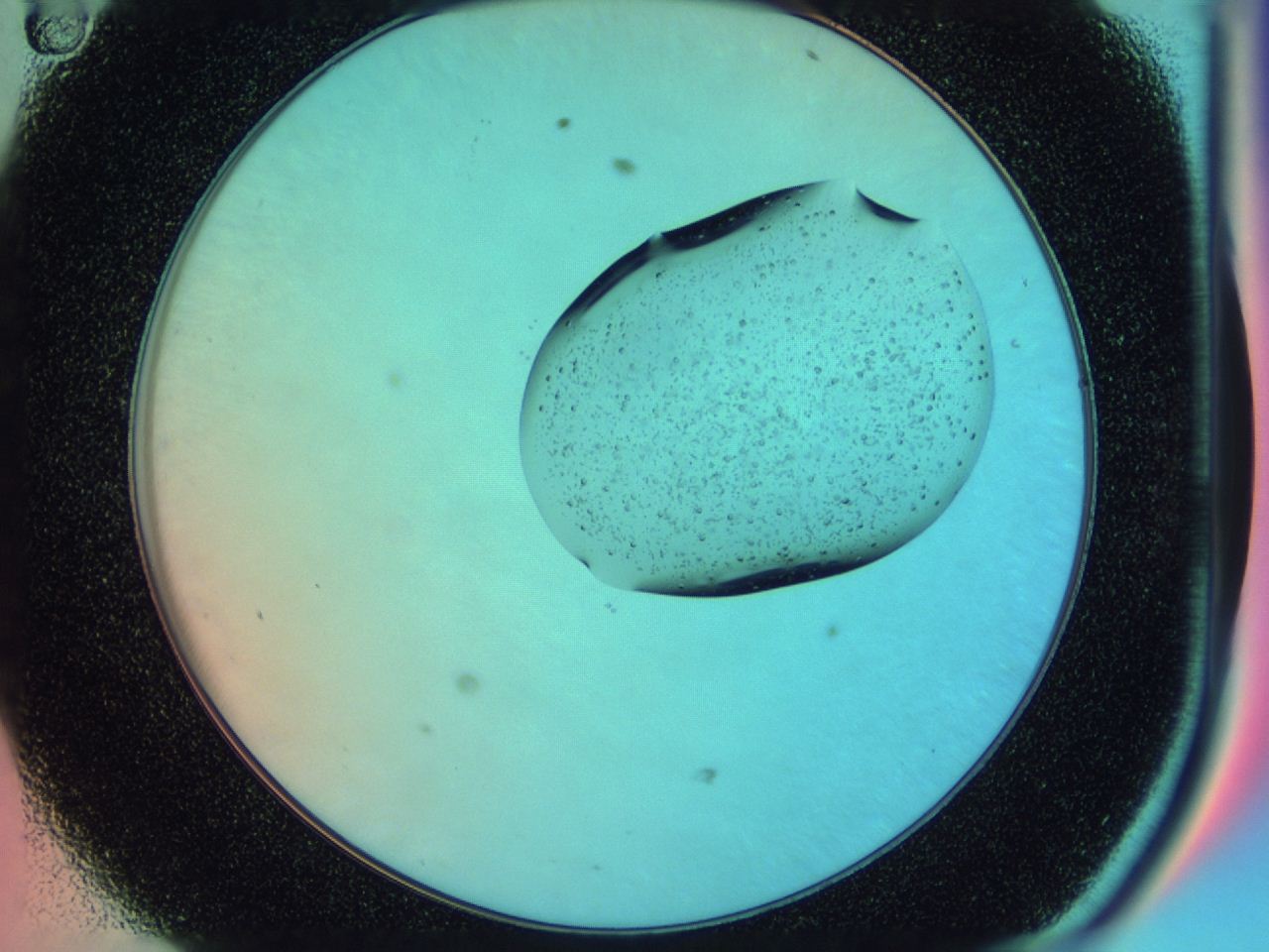 0424_D11_ImagerDefaults_6.jpg