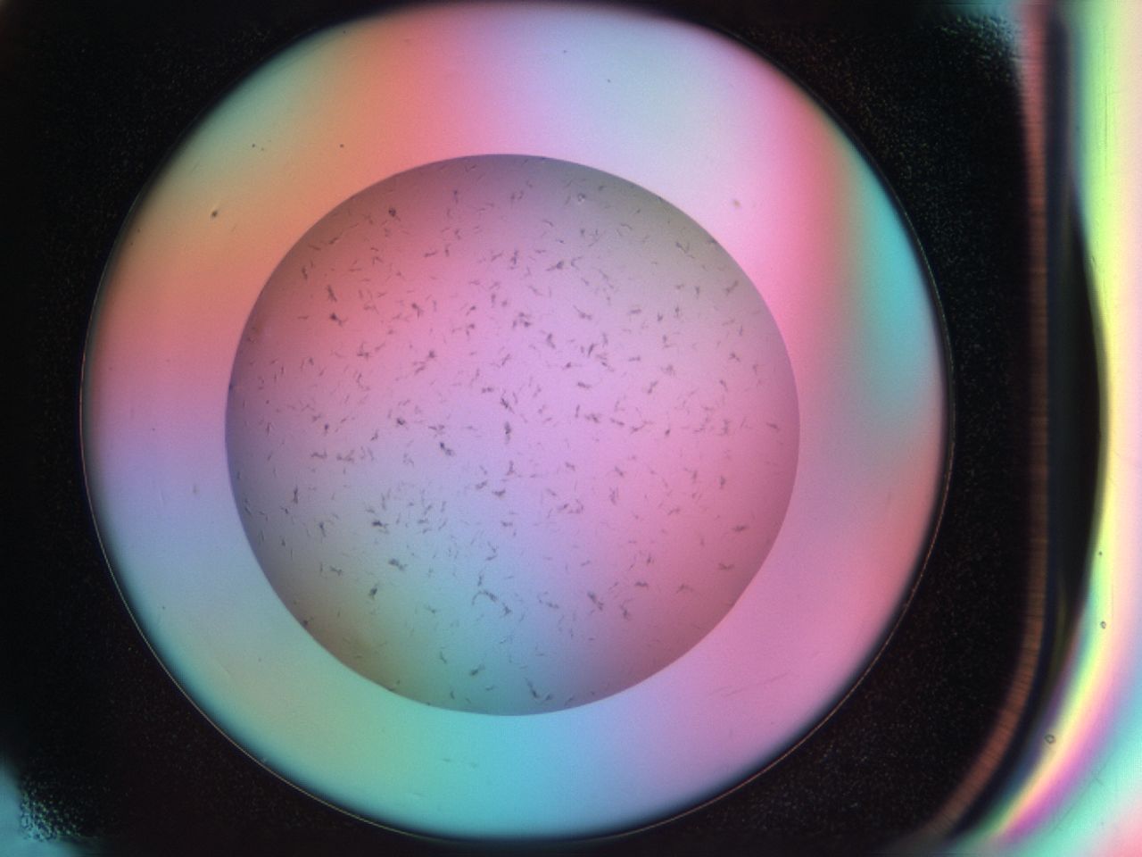 042m_F6_ImagerDefaults_7.jpg