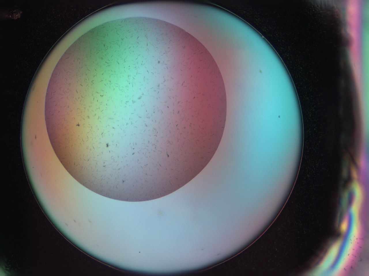 042o_G12_ImagerDefaults_6.jpg