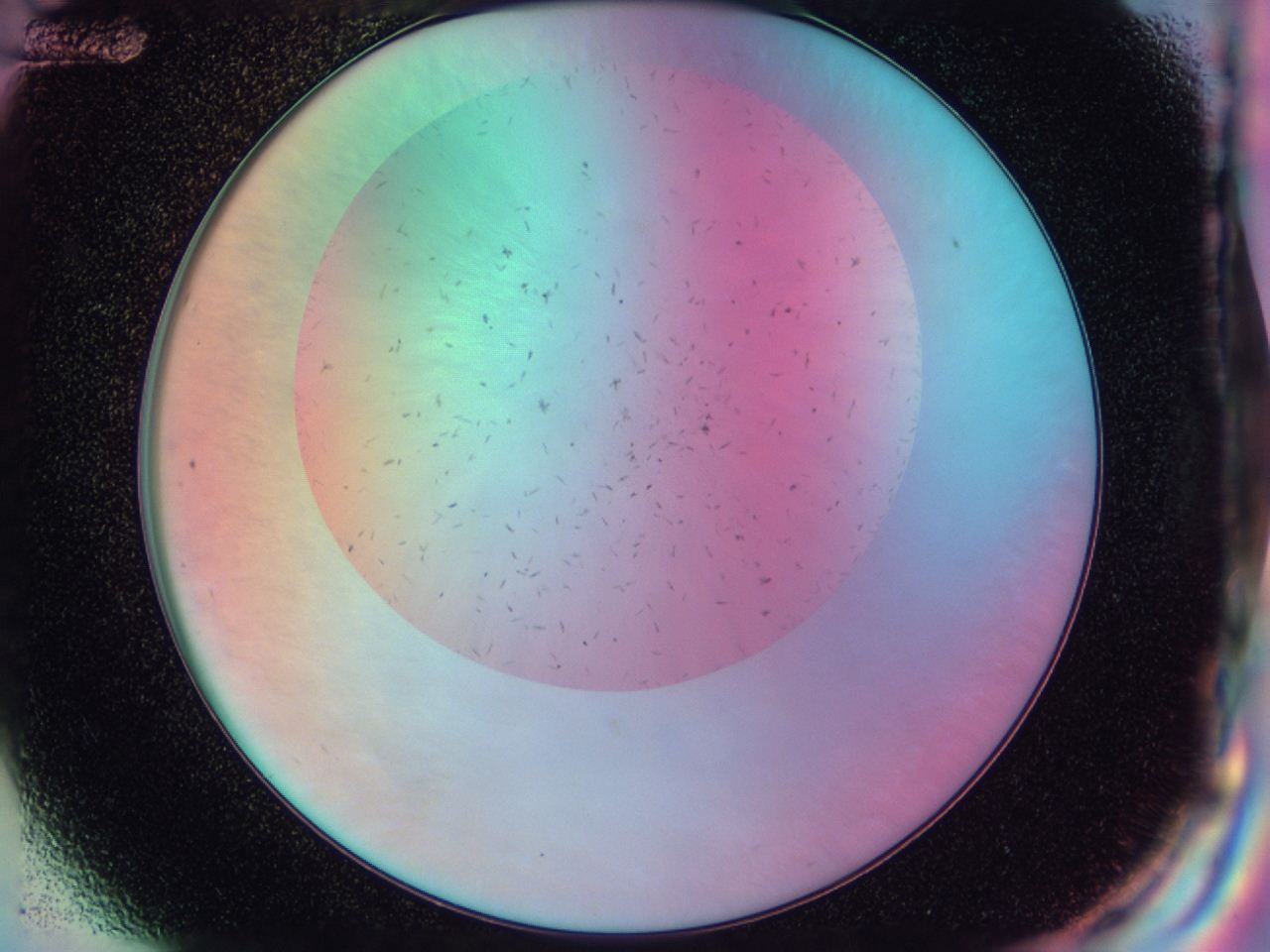 042p_G12_ImagerDefaults_6.jpg