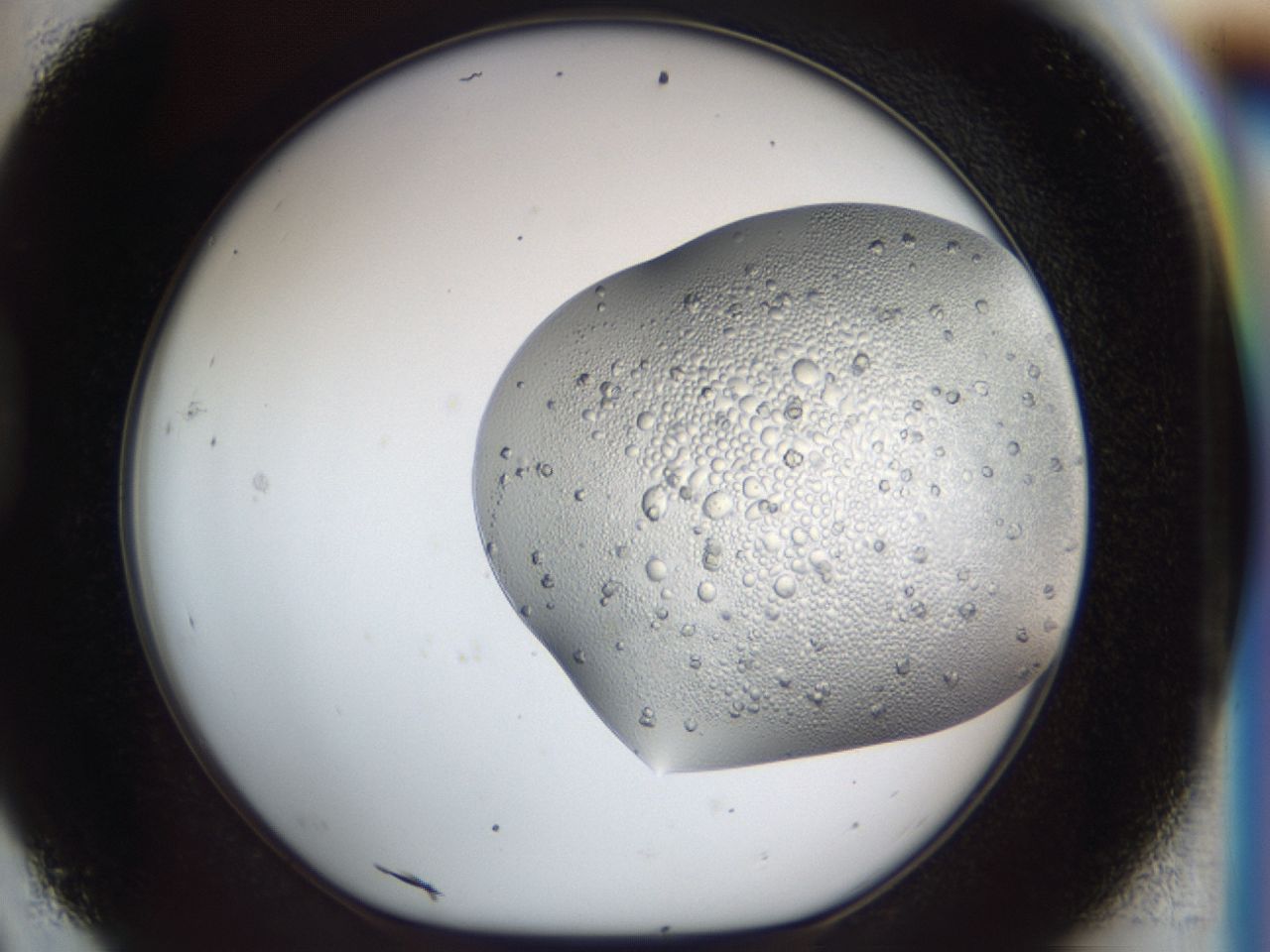 0430_D9_ImagerDefaults_9.jpg