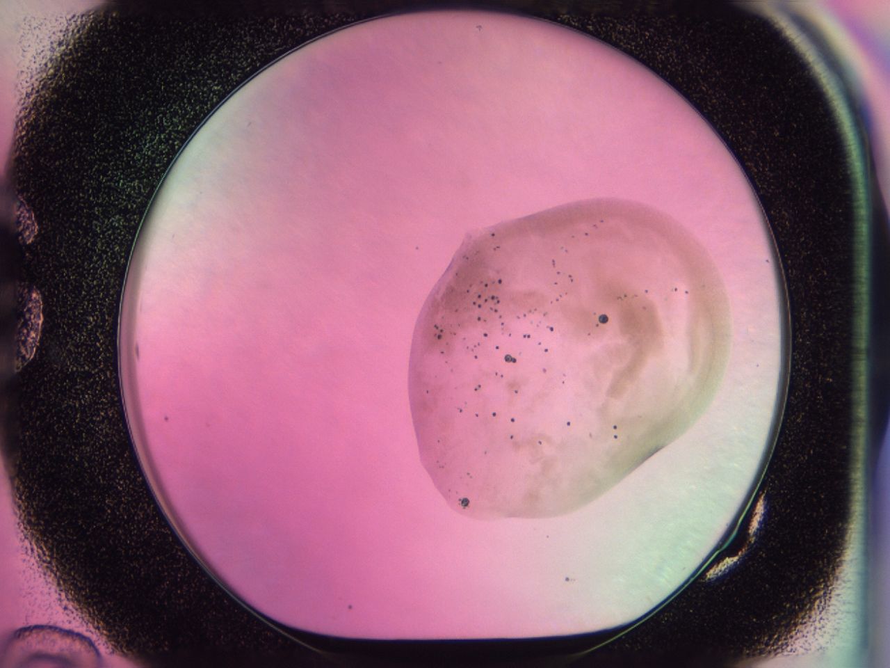 0437_G10_ImagerDefaults_6.jpg