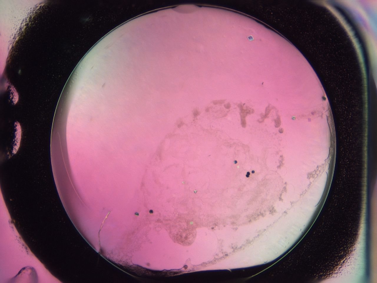 0437_G11_ImagerDefaults_6.jpg