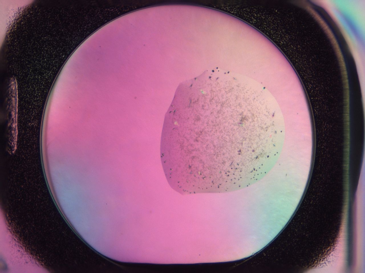 0437_H6_ImagerDefaults_6.jpg