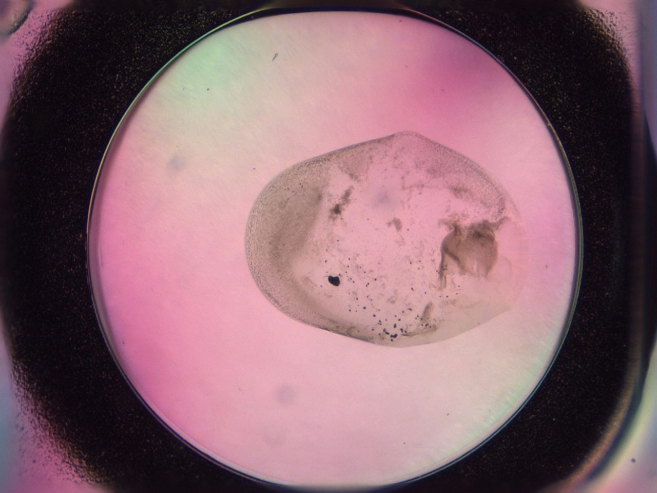 0437_A6_ImagerDefaults_6.jpg