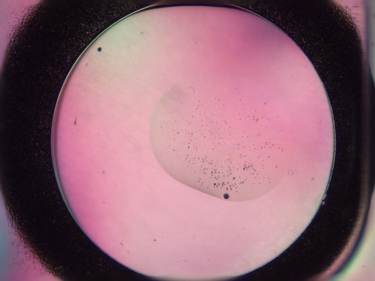 0437_A7_ImagerDefaults_6.jpg