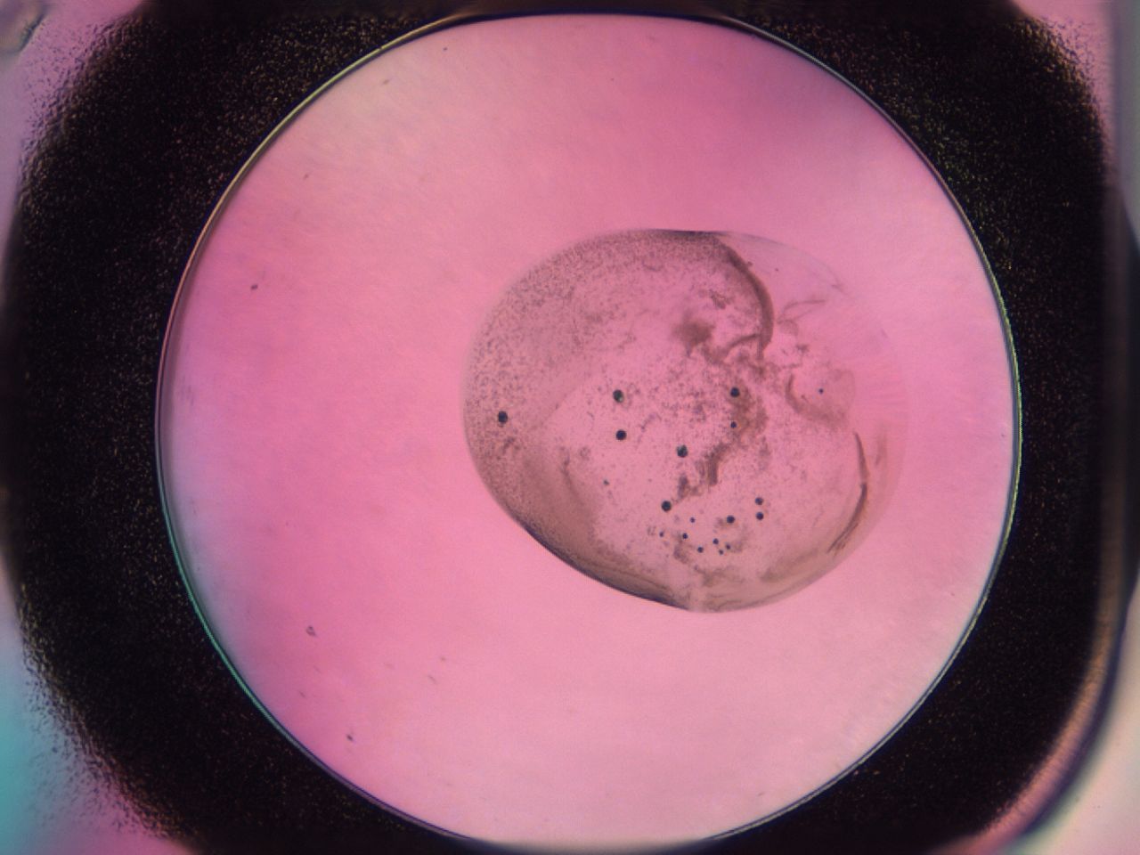 0437_A9_ImagerDefaults_6.jpg