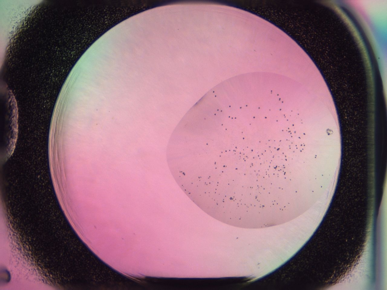 0437_D5_ImagerDefaults_6.jpg