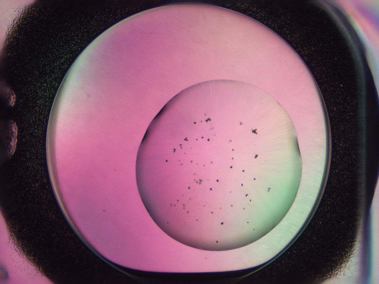 0437_G6_ImagerDefaults_6.jpg