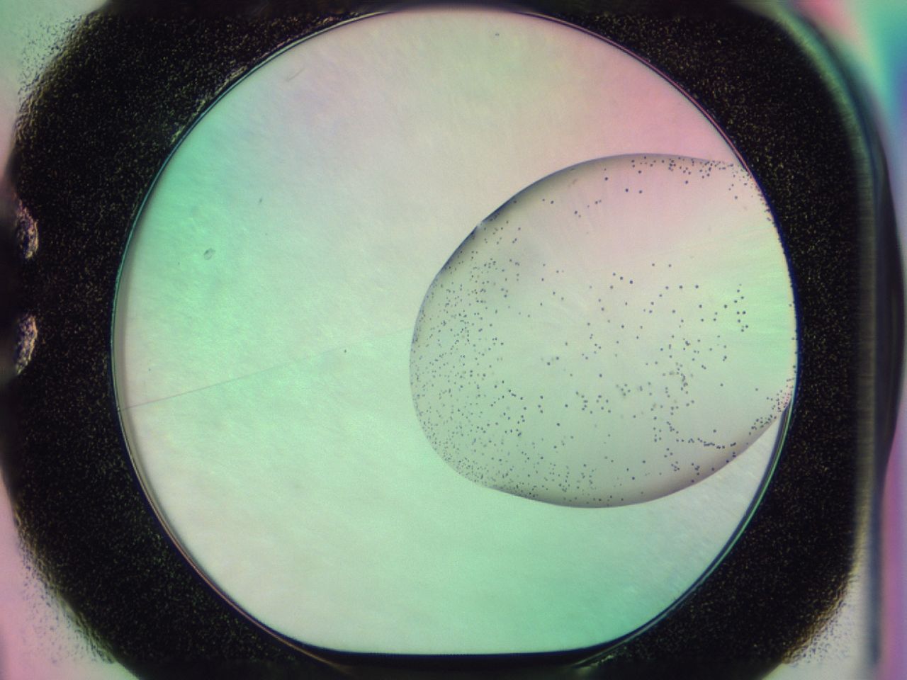 0437_C1_ImagerDefaults_6.jpg