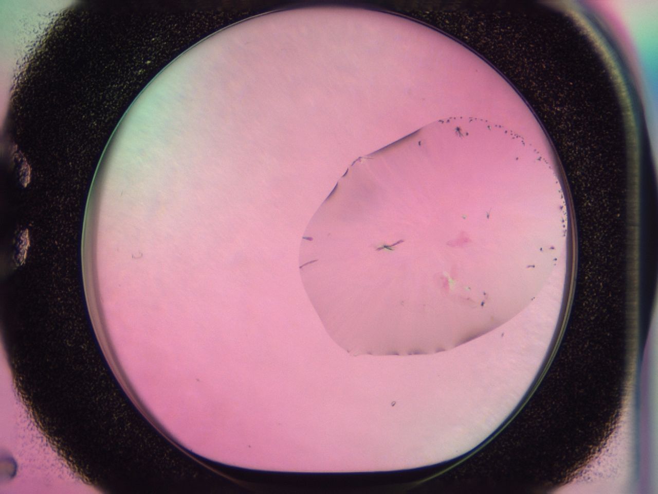 0437_C5_ImagerDefaults_6.jpg
