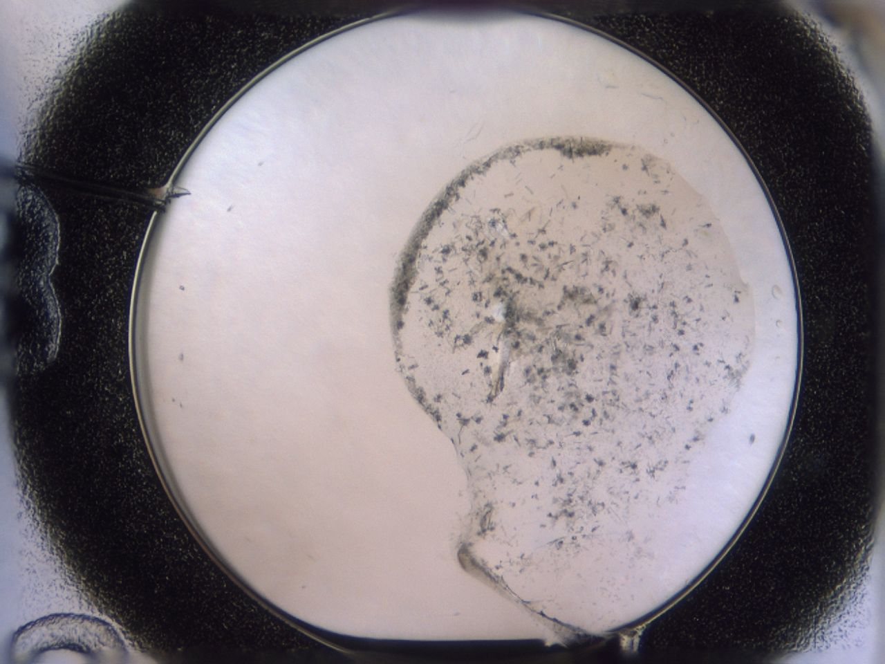 0437_B12_ImagerDefaults_7.jpg