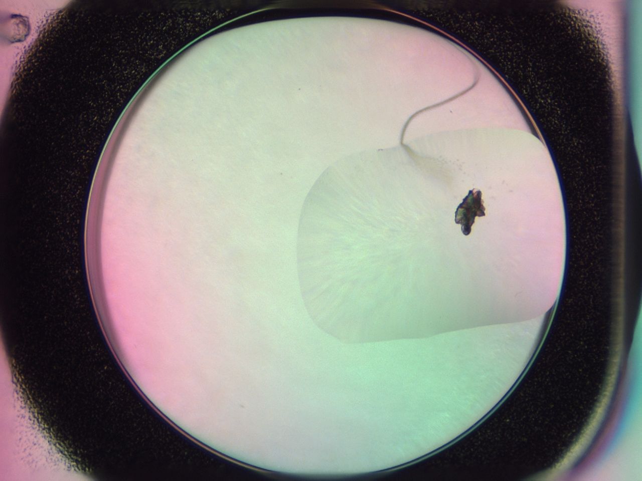 0437_B2_ImagerDefaults_9.jpg