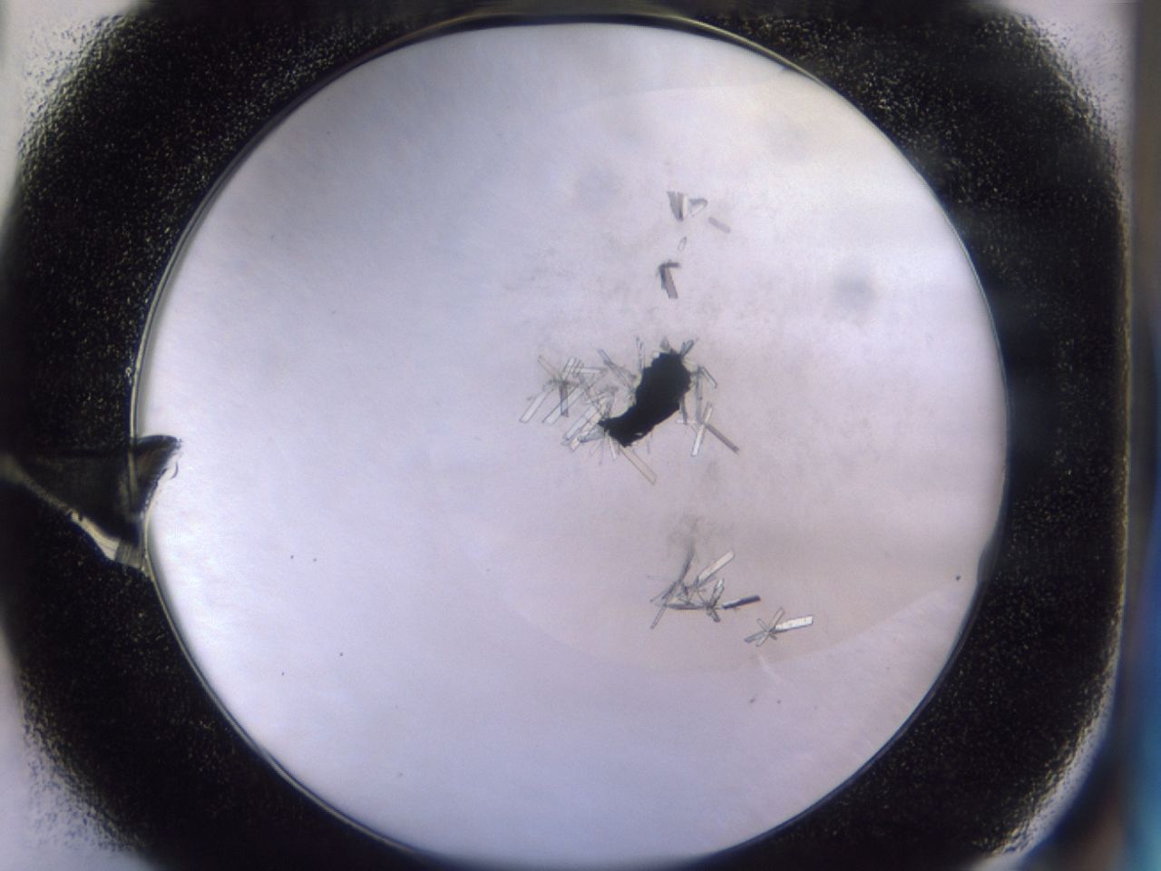 0438_E1_ImagerDefaults_9.jpg