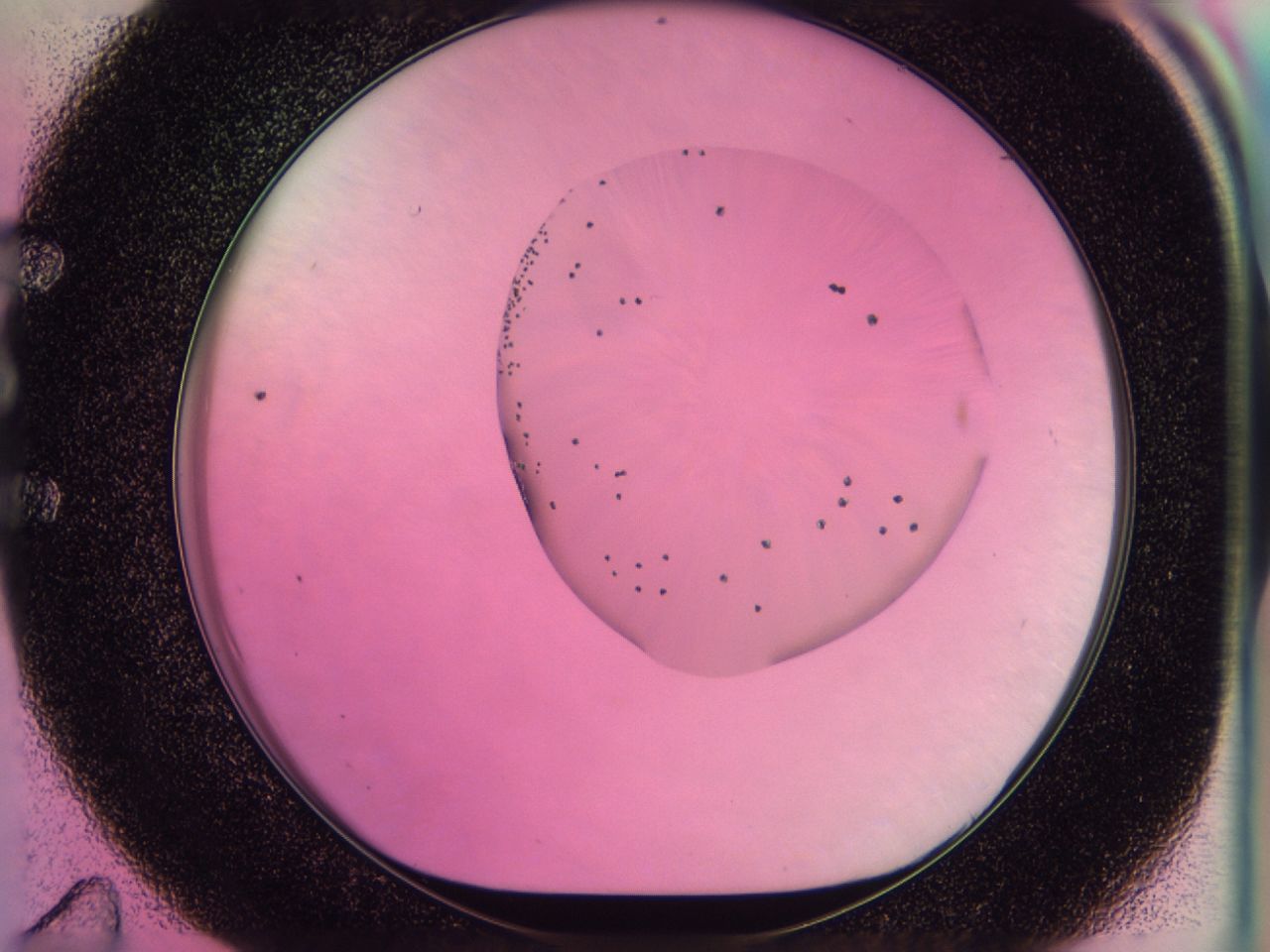 0438_E11_ImagerDefaults_6.jpg