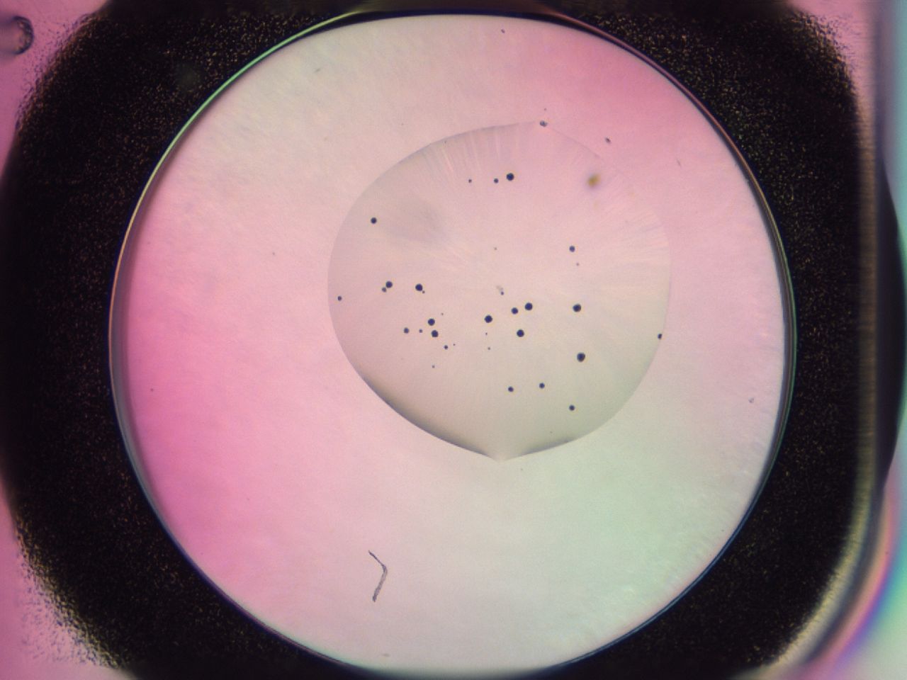 0438_C2_ImagerDefaults_6.jpg