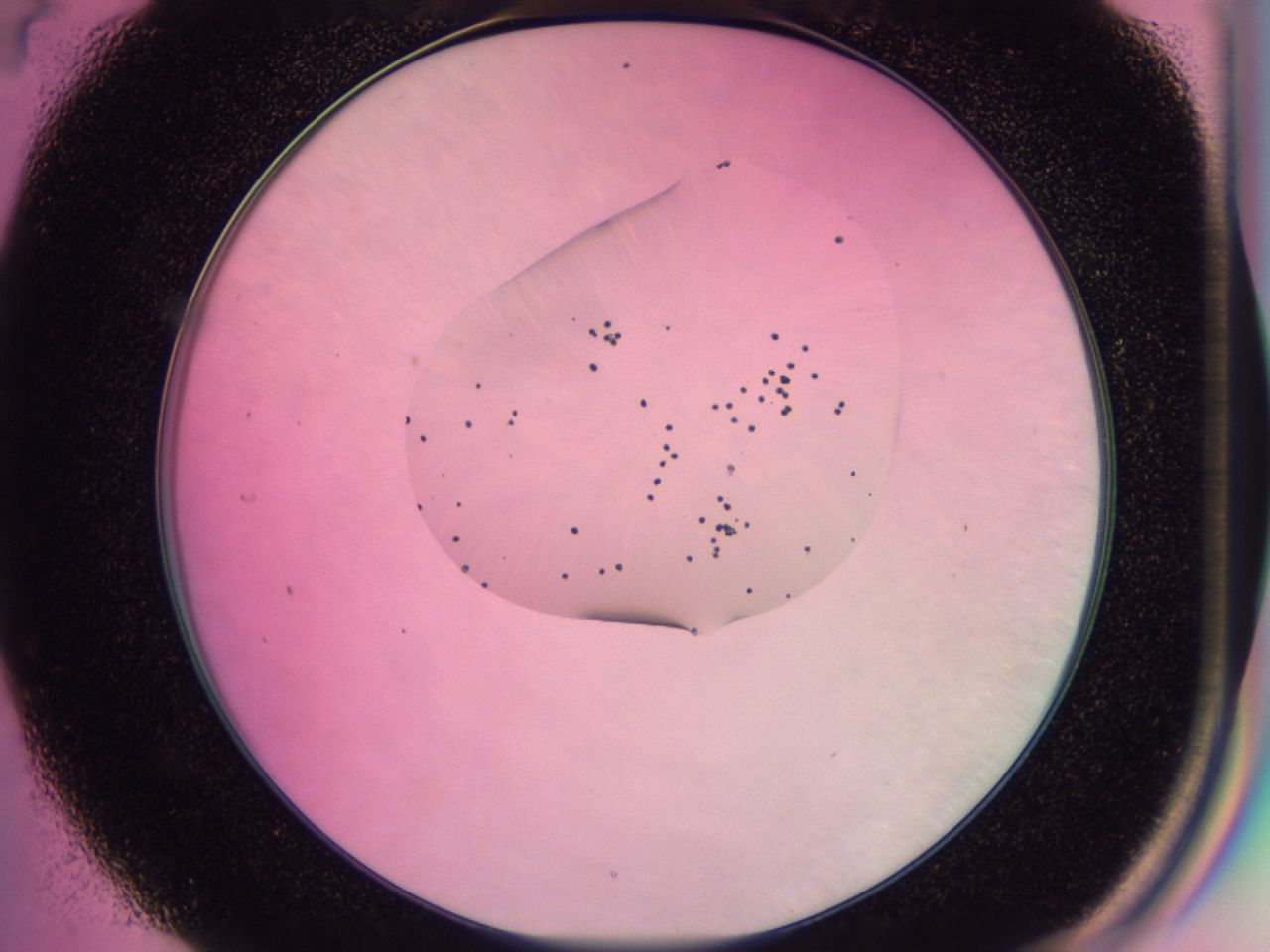 0438_C4_ImagerDefaults_6.jpg