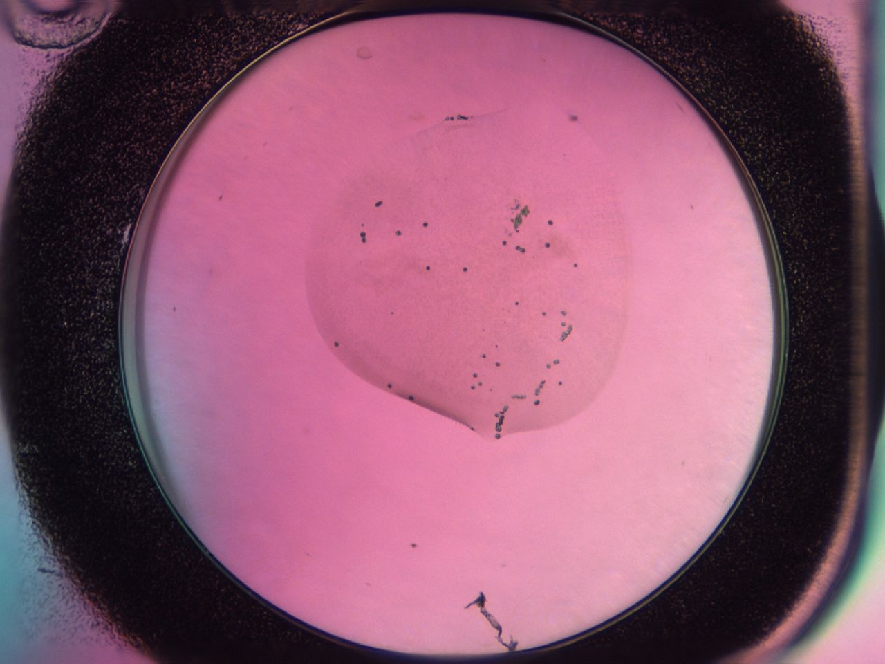 0438_C10_ImagerDefaults_6.jpg