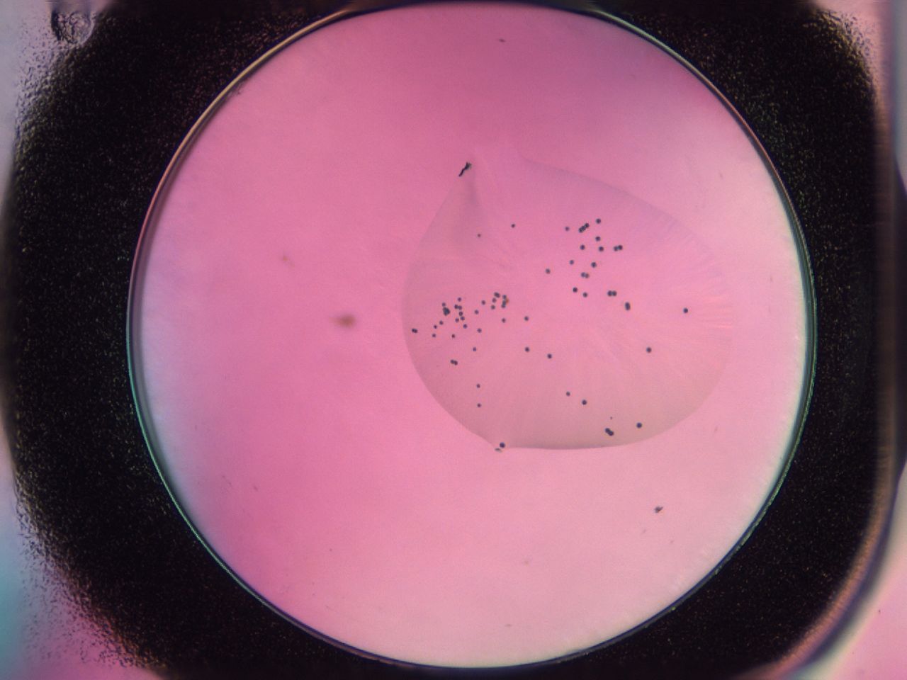 0438_A11_ImagerDefaults_6.jpg
