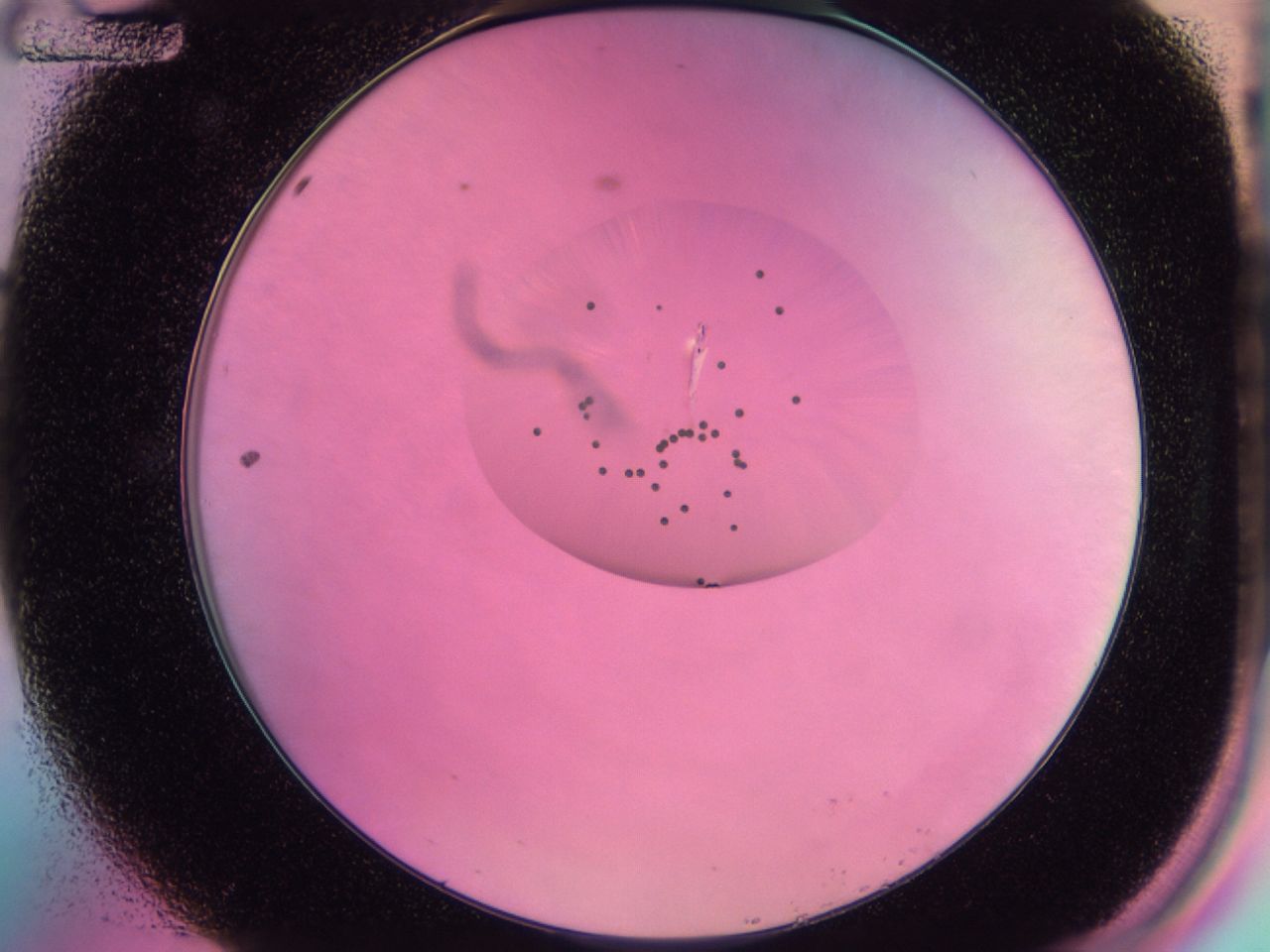 0438_A12_ImagerDefaults_6.jpg