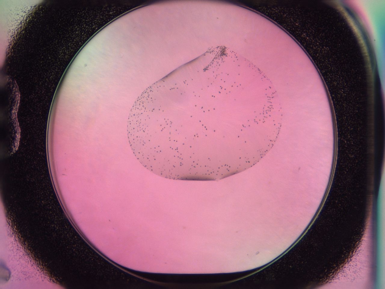 0438_B6_ImagerDefaults_6.jpg