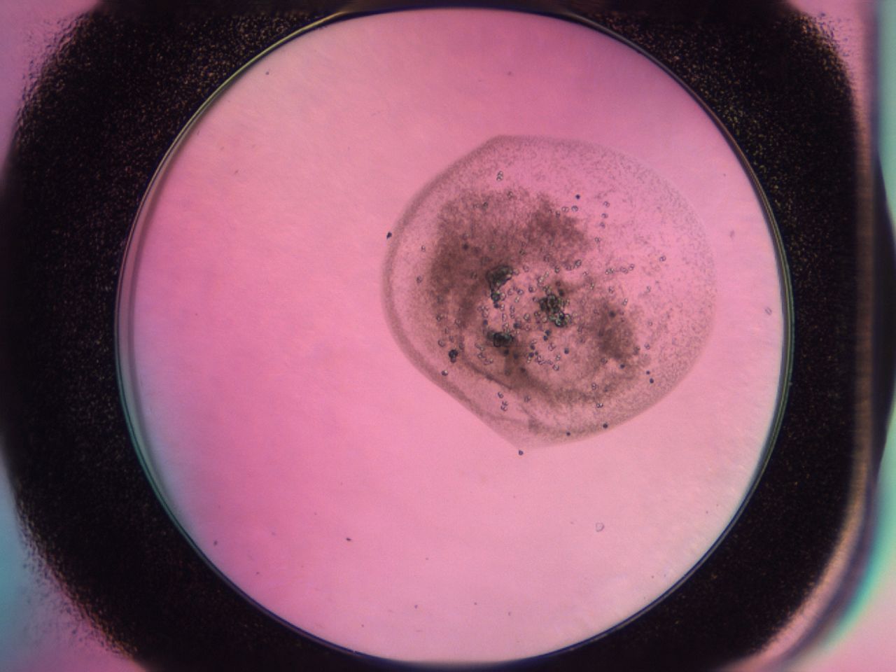 0438_B7_ImagerDefaults_6.jpg