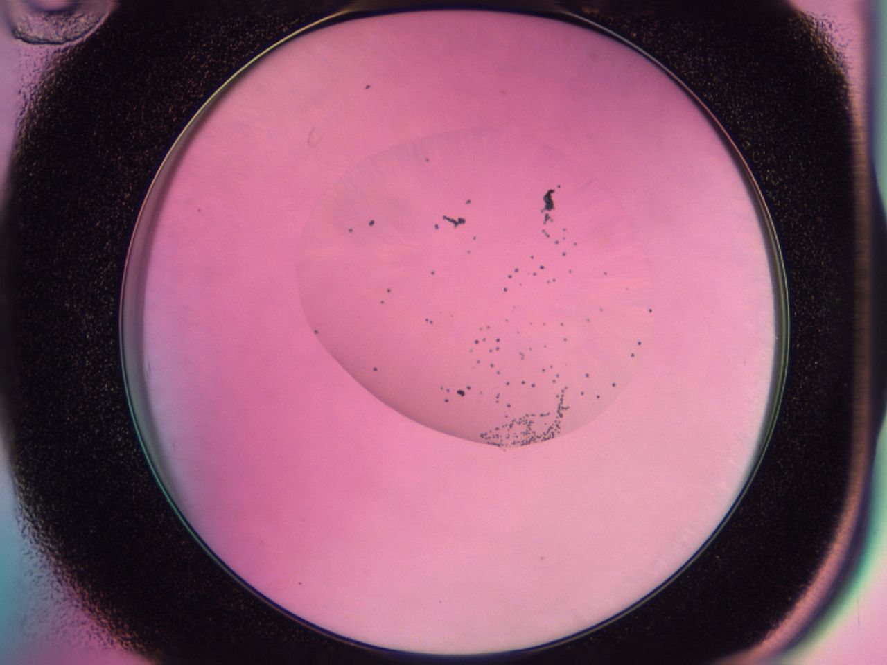 0438_B10_ImagerDefaults_6.jpg