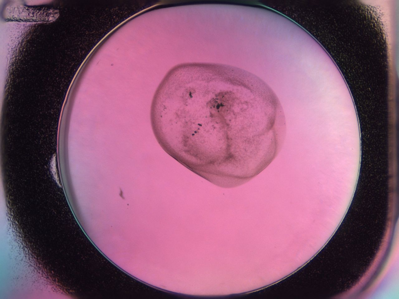 0438_B12_ImagerDefaults_6.jpg