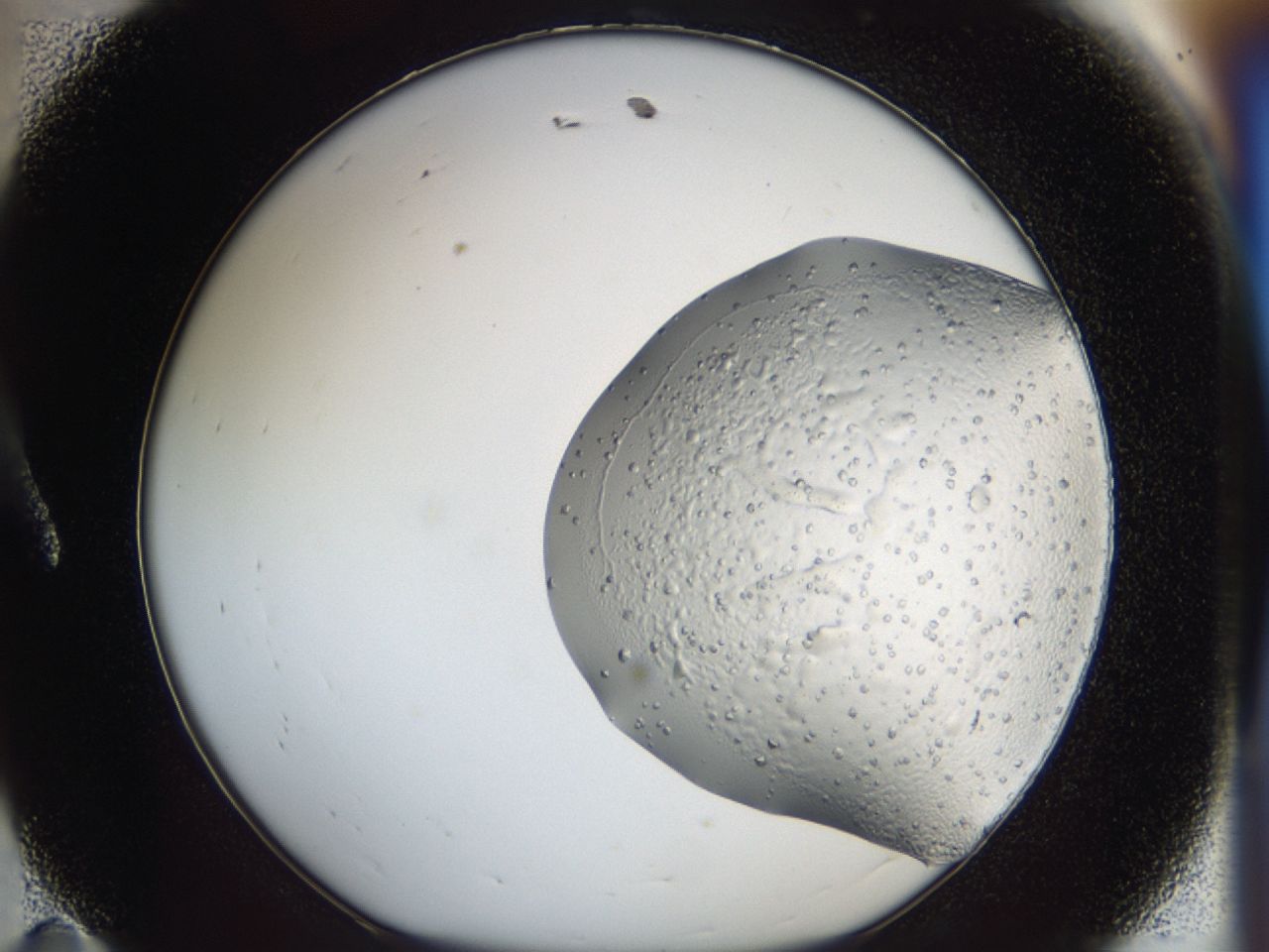 043a_A11_ImagerDefaults_6.jpg