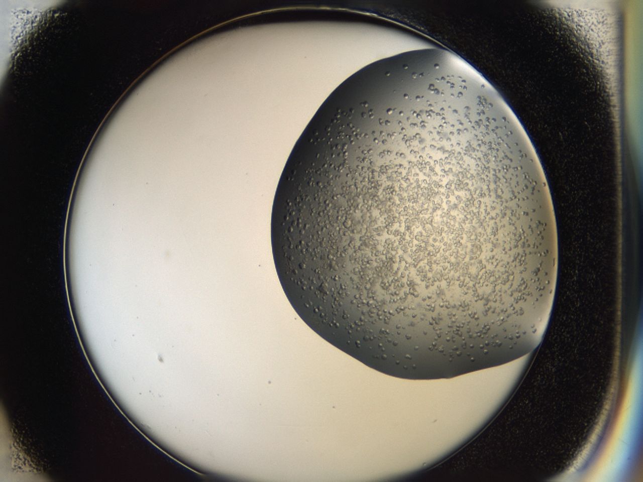 043a_B1_ImagerDefaults_6.jpg