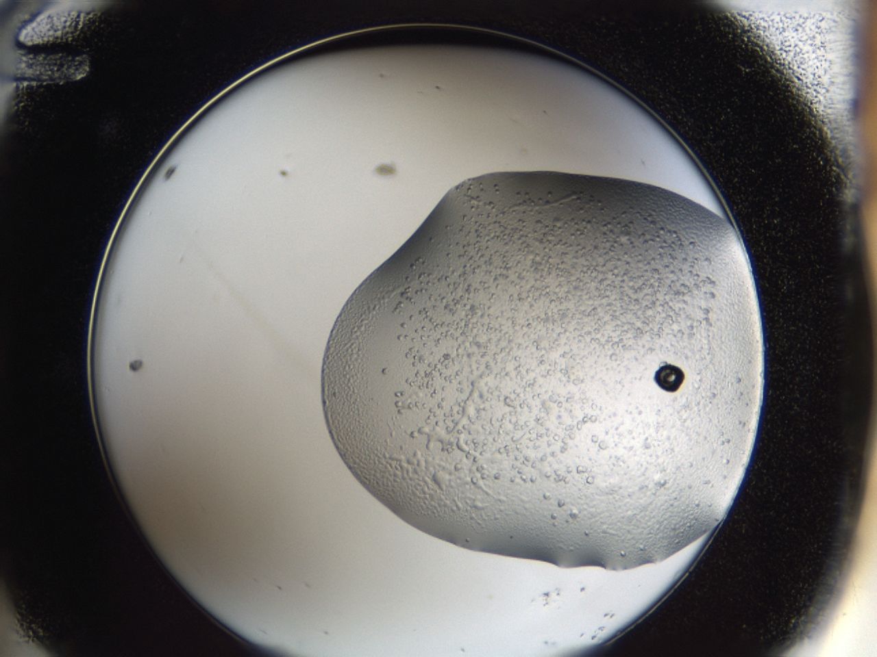 043a_A12_ImagerDefaults_6.jpg