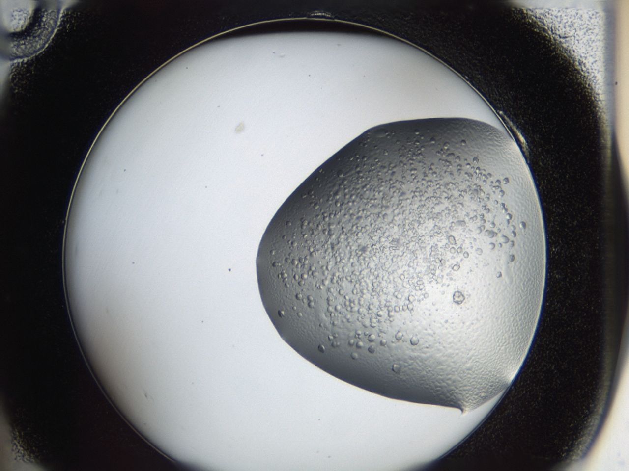 043a_A10_ImagerDefaults_7.jpg