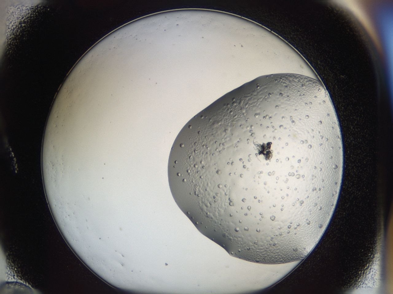 043a_A10_ImagerDefaults_6.jpg