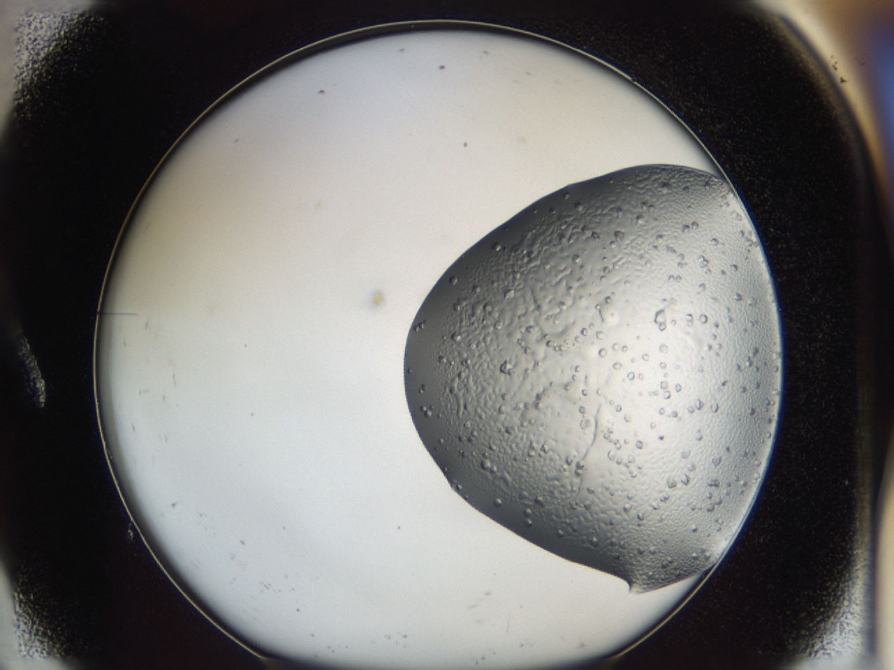 043a_A9_ImagerDefaults_6.jpg