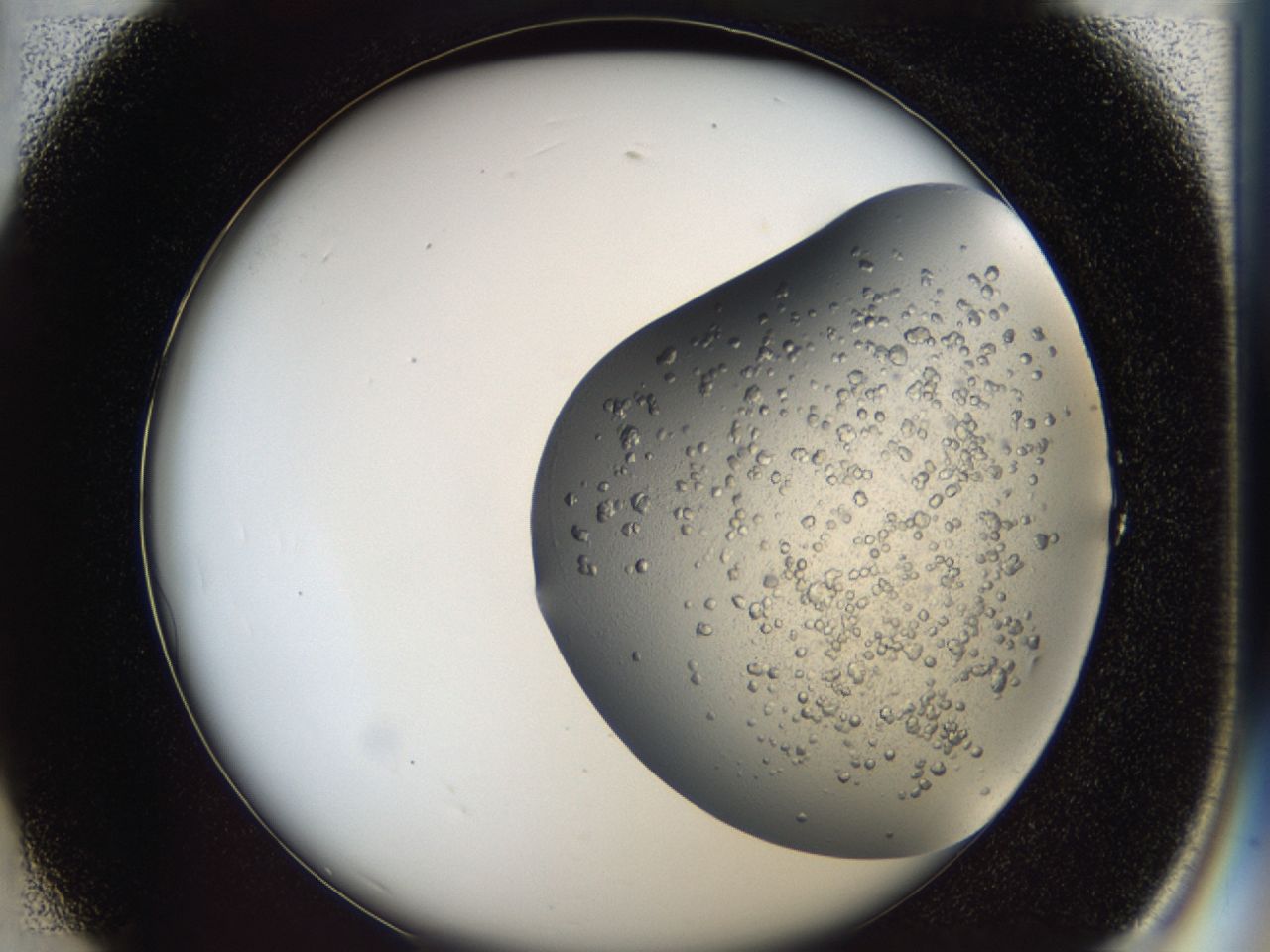 043a_A1_ImagerDefaults_6.jpg