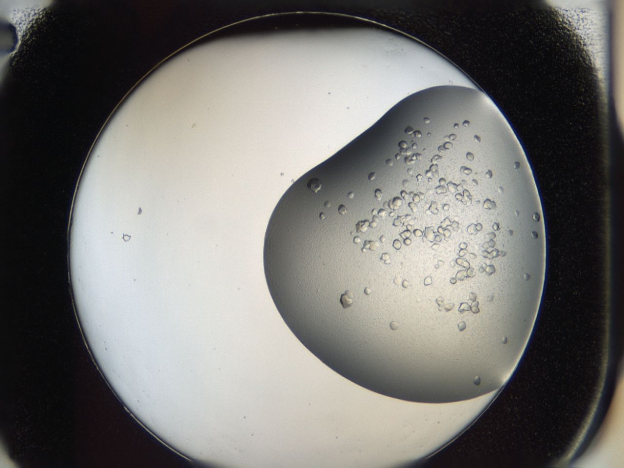 043a_A2_ImagerDefaults_7.jpg