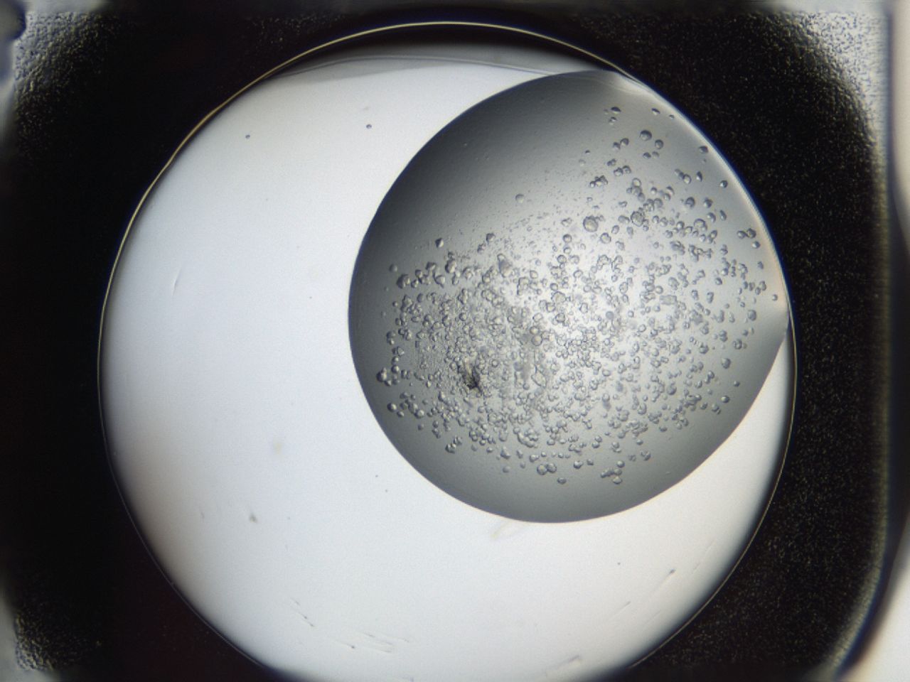 043a_A4_ImagerDefaults_7.jpg
