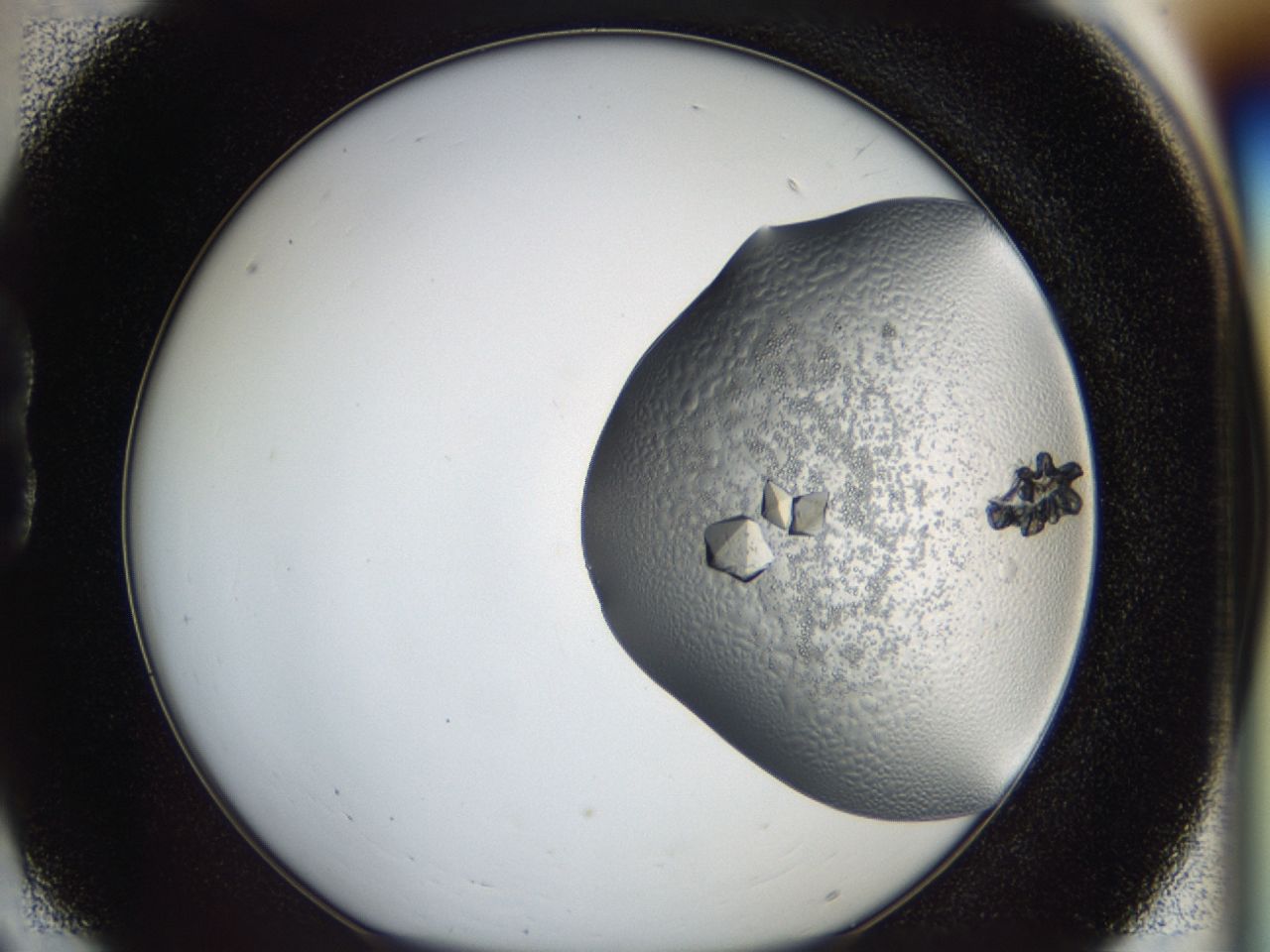 043a_B6_ImagerDefaults_8.jpg