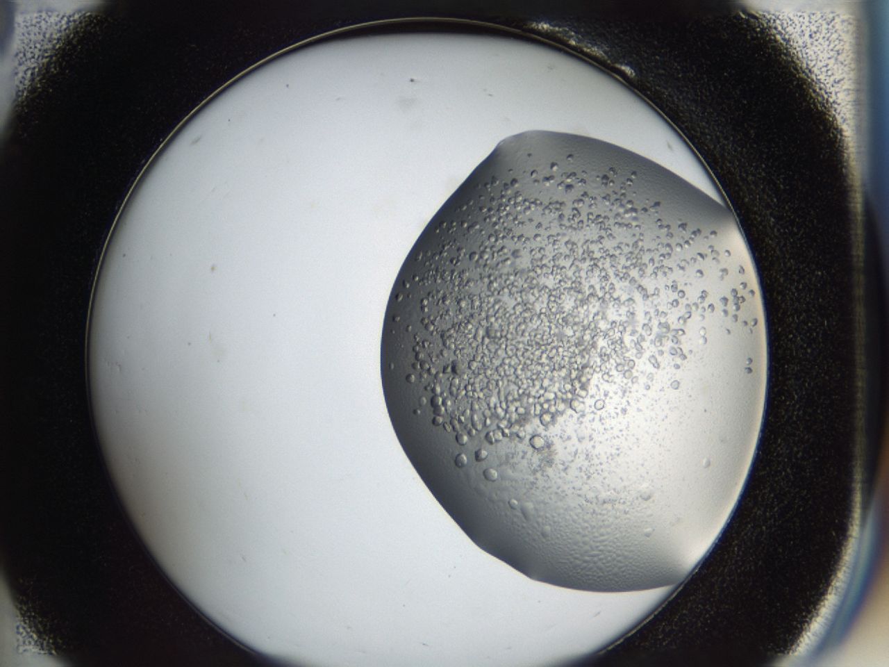 043a_B6_ImagerDefaults_7.jpg