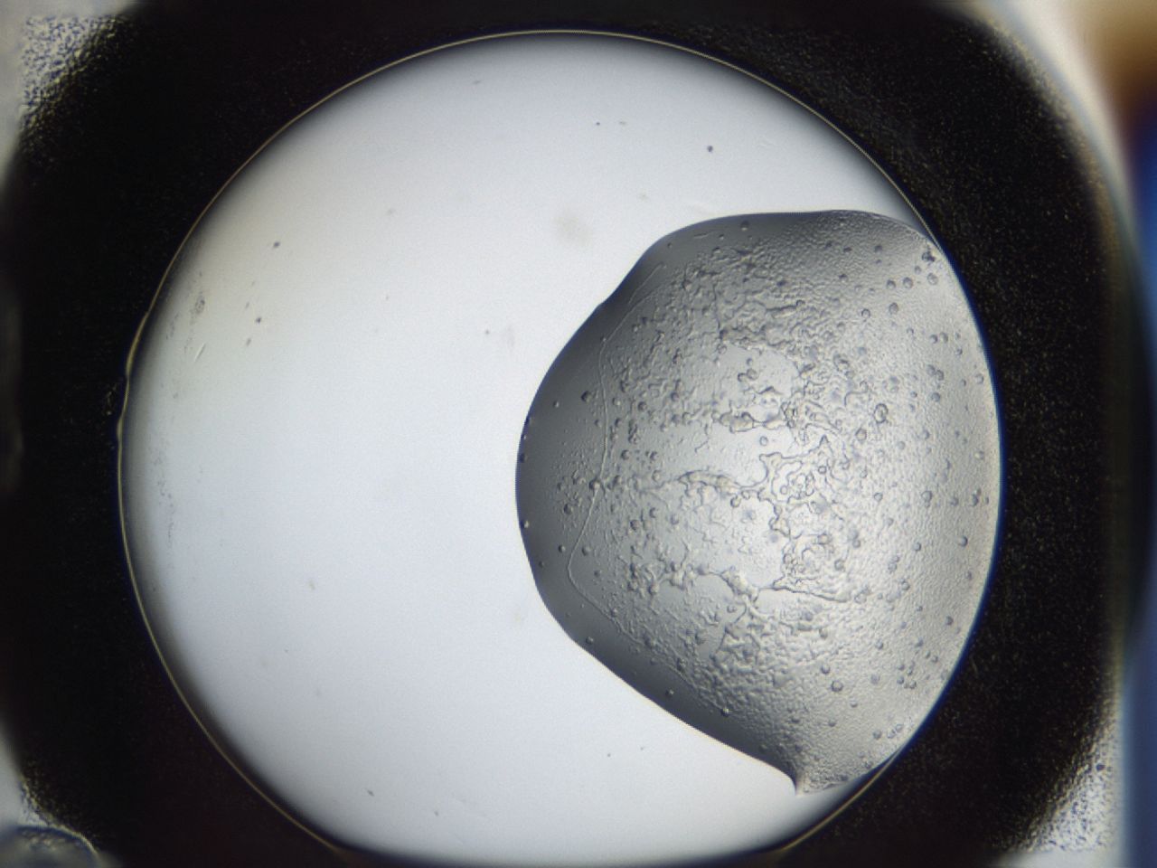 043a_B10_ImagerDefaults_6.jpg