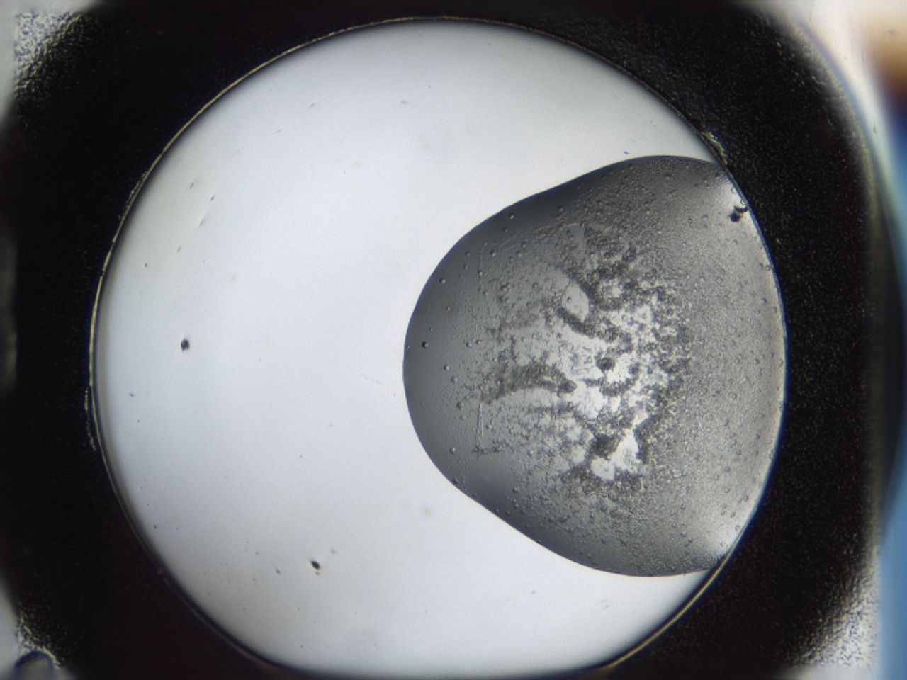 043a_B11_ImagerDefaults_6.jpg