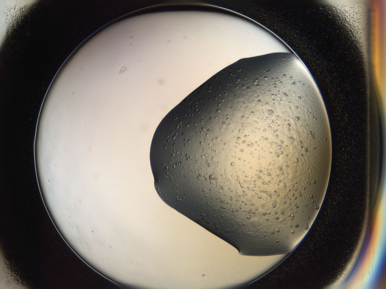 043a_C1_ImagerDefaults_6.jpg