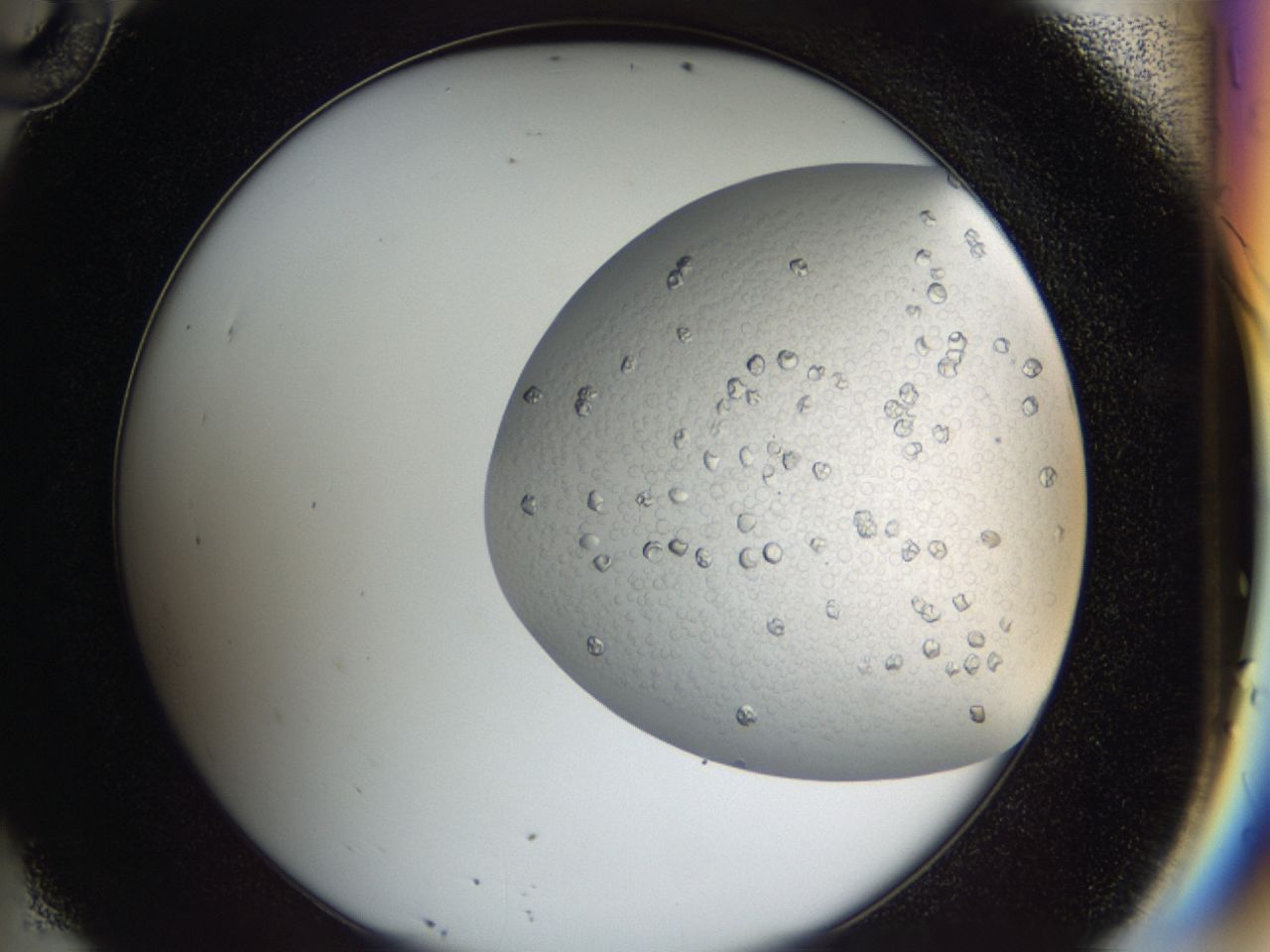 043a_D10_ImagerDefaults_6.jpg