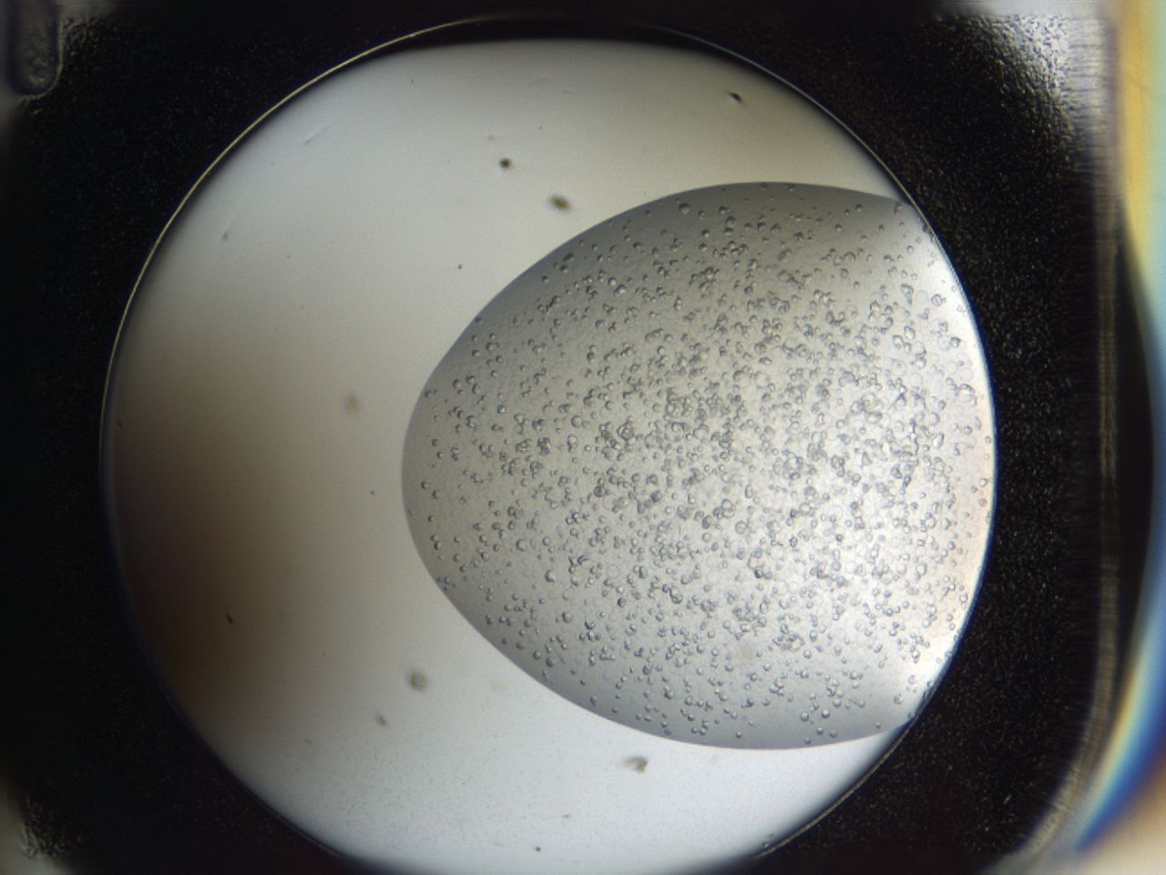 043a_D11_ImagerDefaults_6.jpg