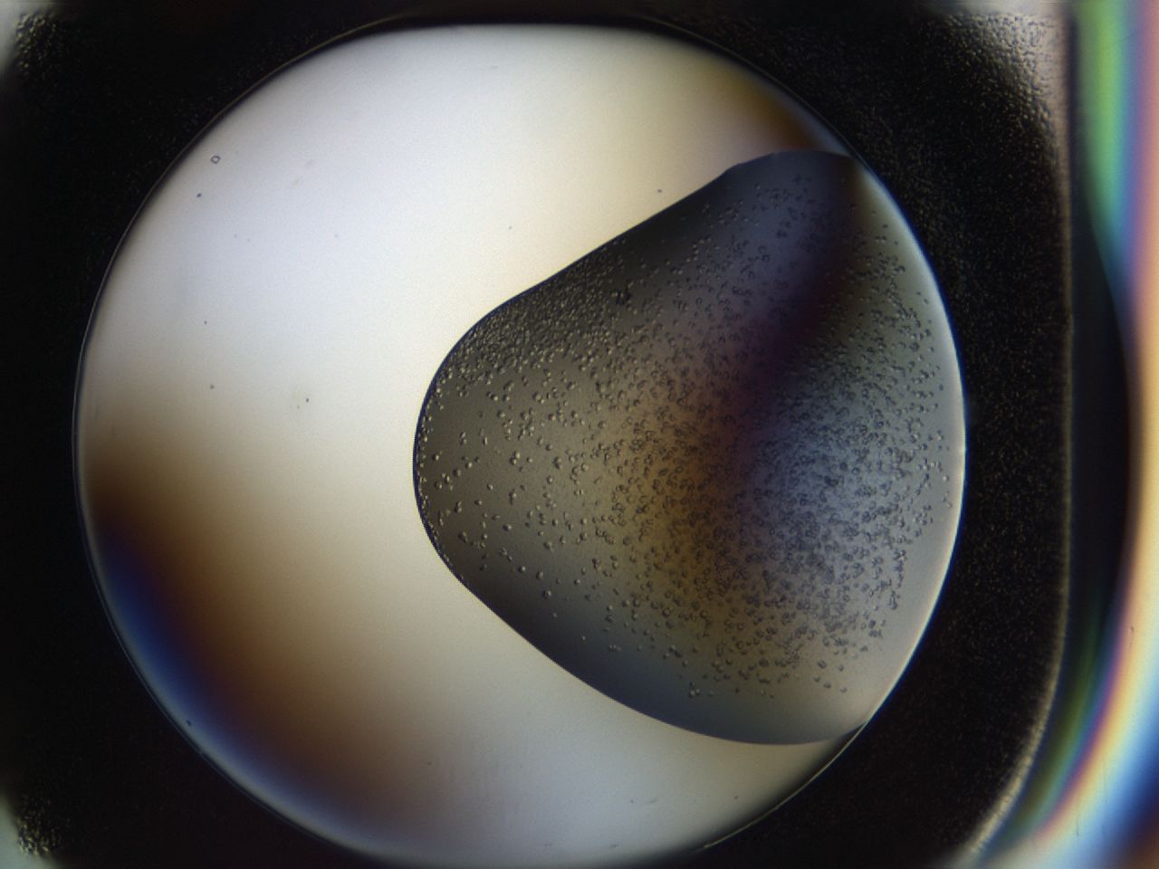 043a_F1_ImagerDefaults_6.jpg