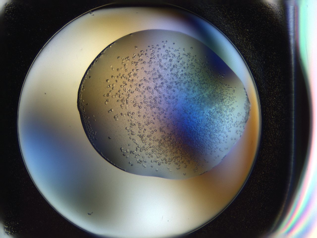 043a_G2_ImagerDefaults_7.jpg