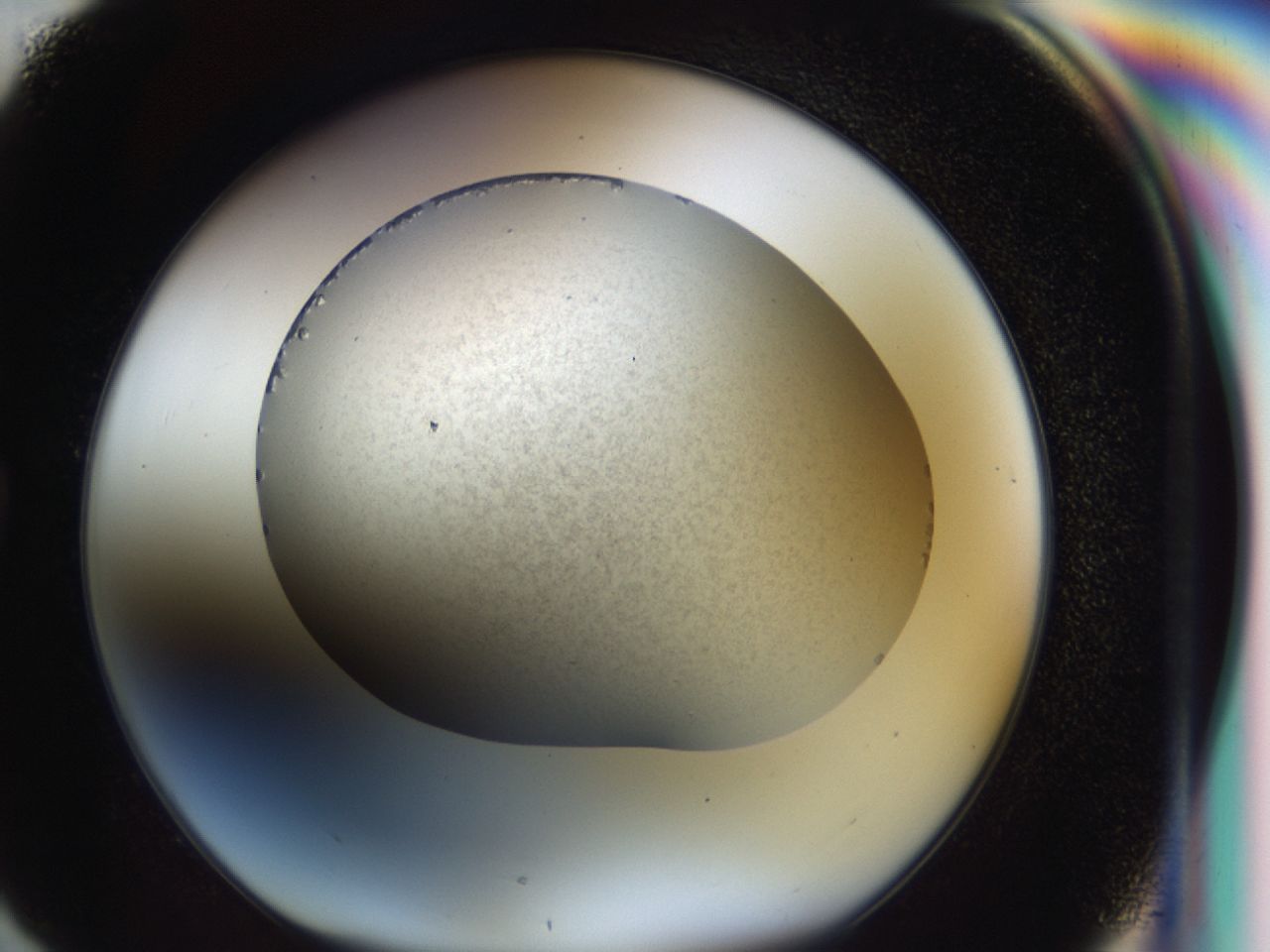 043a_G4_ImagerDefaults_6.jpg